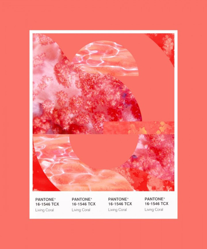 Pantone 2019ɫɺůĹռ